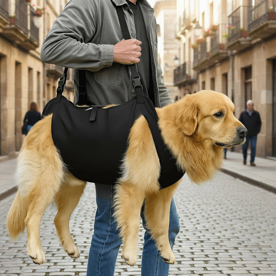 Hund Tragehilfe | Ergonomischer Hebegurt für Große Hunde | Unterstützung beim Treppensteigen und Spaziergängen 3