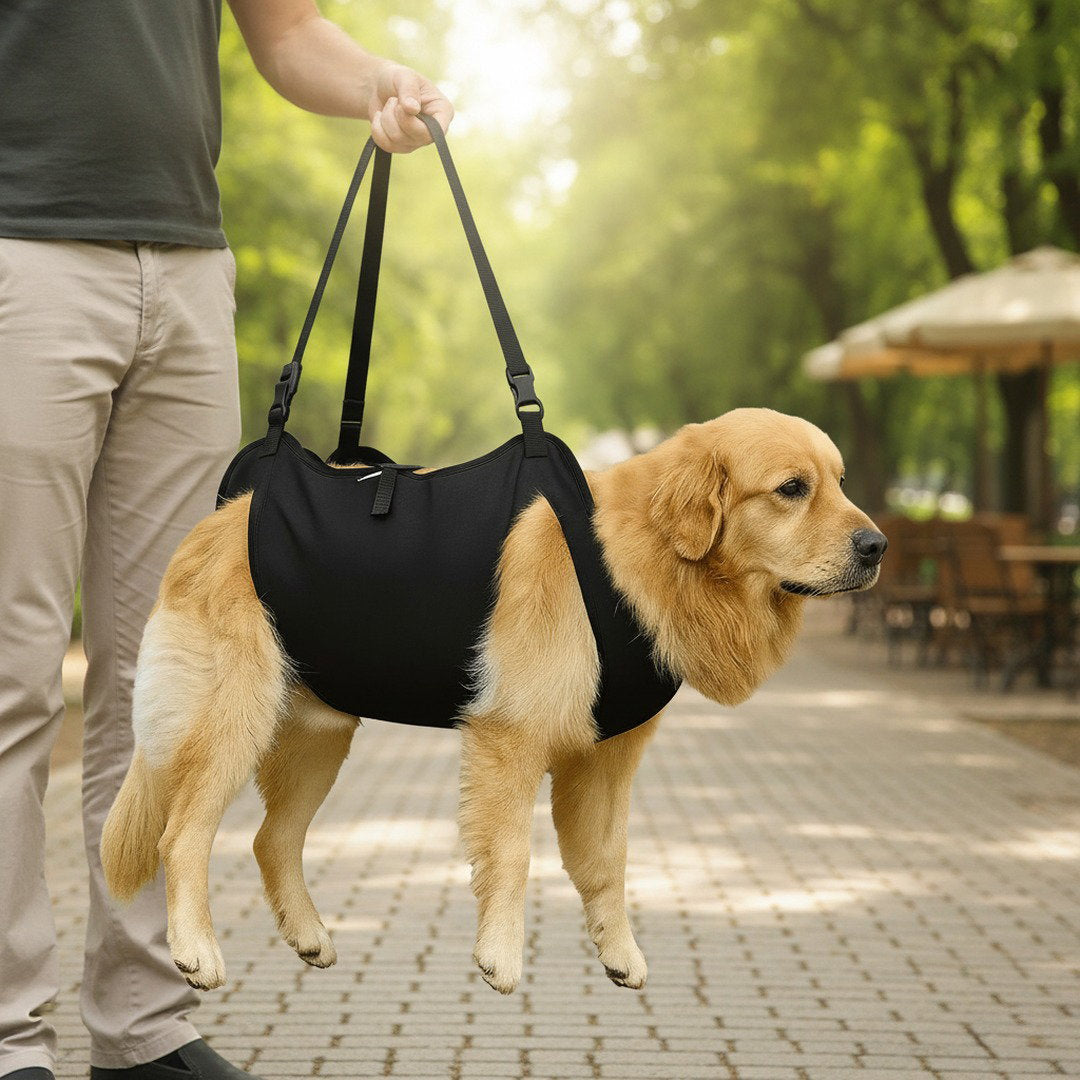 Hund Tragehilfe | Ergonomischer Hebegurt für Große Hunde | Unterstützung beim Treppensteigen und Spaziergängen 3