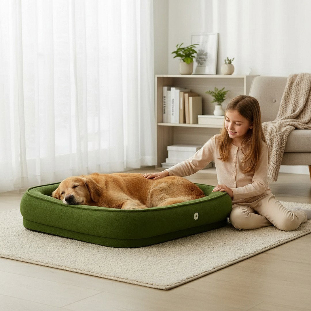 Komfort Hundebett | Orthopädisches Hundebett mit Memory Foam | Waschbarer Bezug für Erholsamen Schlaf 5