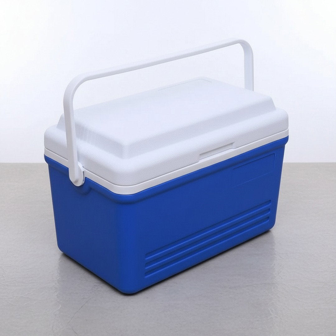 Tragbare Kühlbox 30L mit Isolierung und starkem Griff | Ideal für Auto, Picknicks und Reisen 4