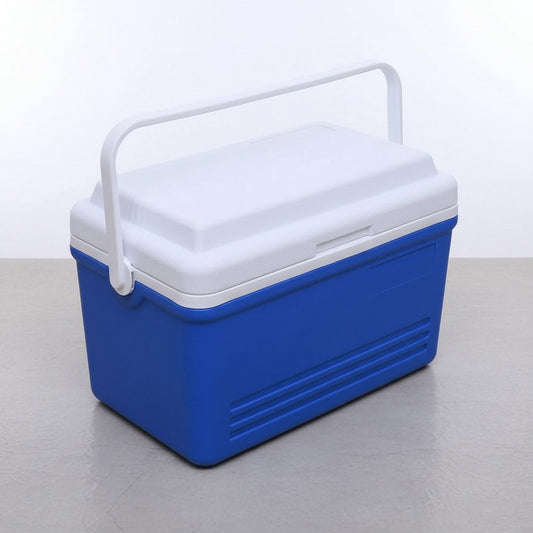Tragbare Kühlbox 30L mit Isolierung und starkem Griff | Ideal für Auto, Picknicks und Reisen 4